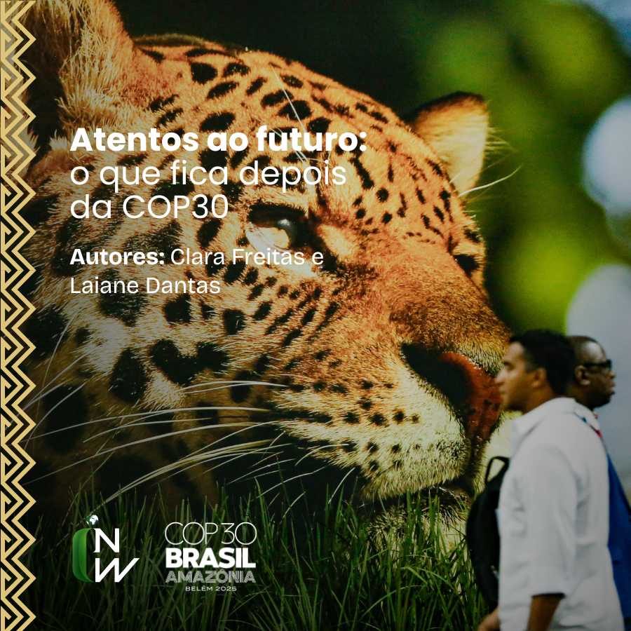 Leia mais sobre o artigo Atentos ao futuro: o que fica depois da COP30
